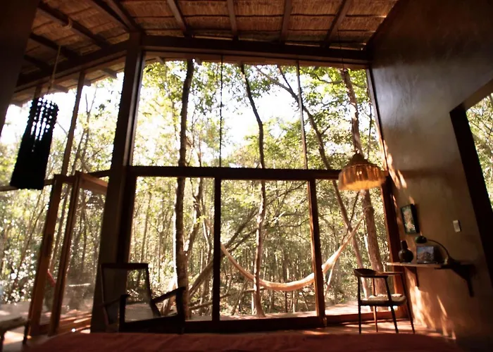 Ojo De Arbol, Boutique Cabin In The Real Jungle