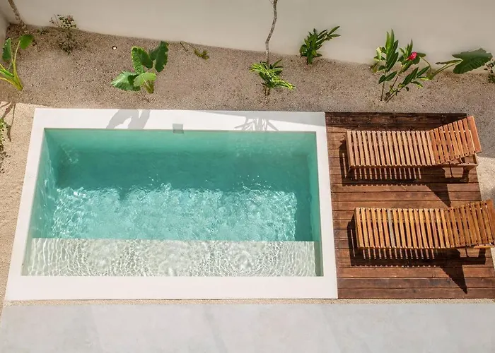 Casa Cedra #3